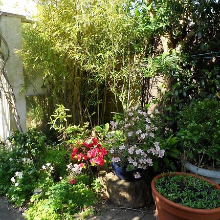 Galway Guest House Уэймут Экстерьер фото