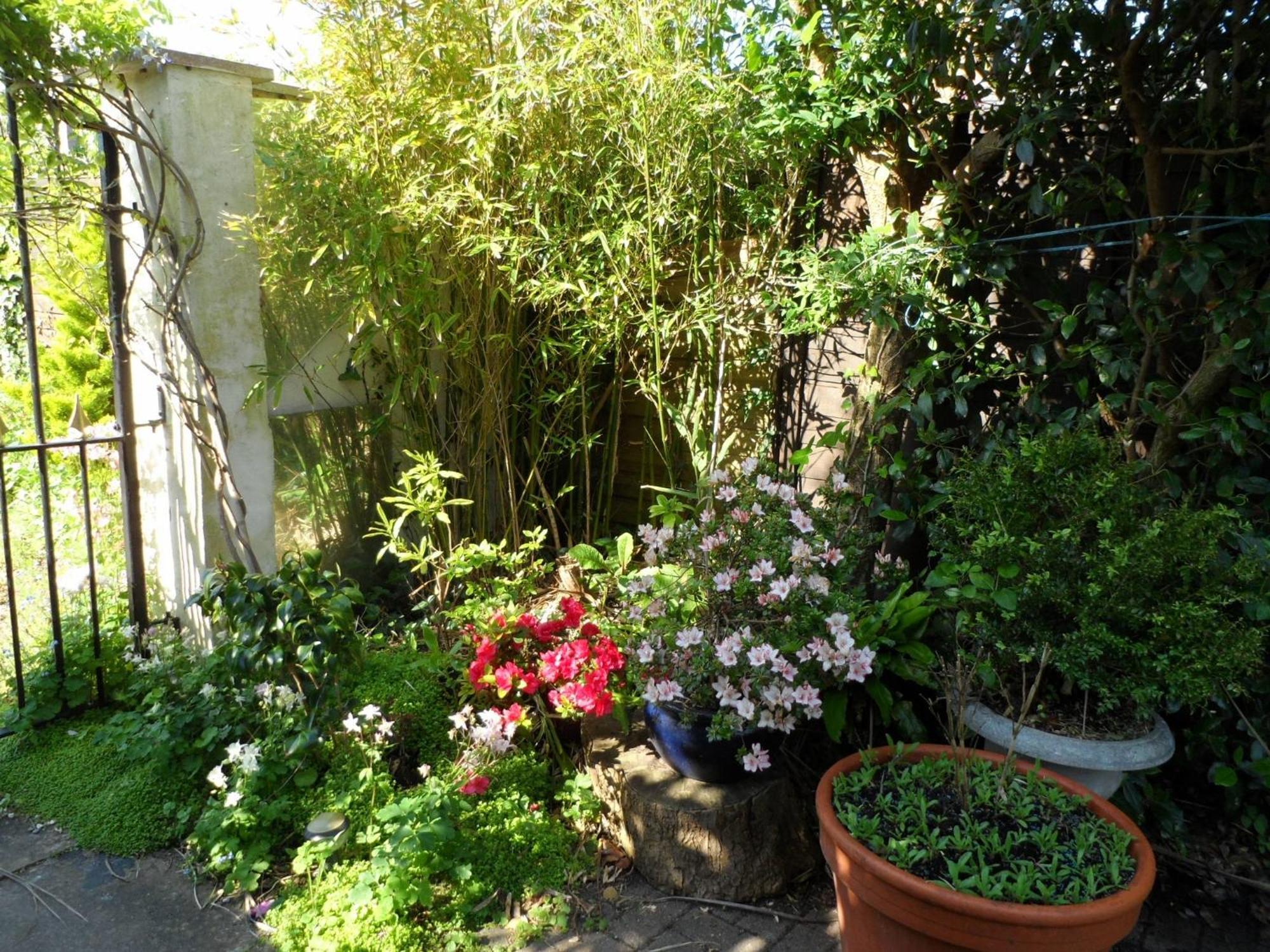Galway Guest House Уэймут Экстерьер фото
