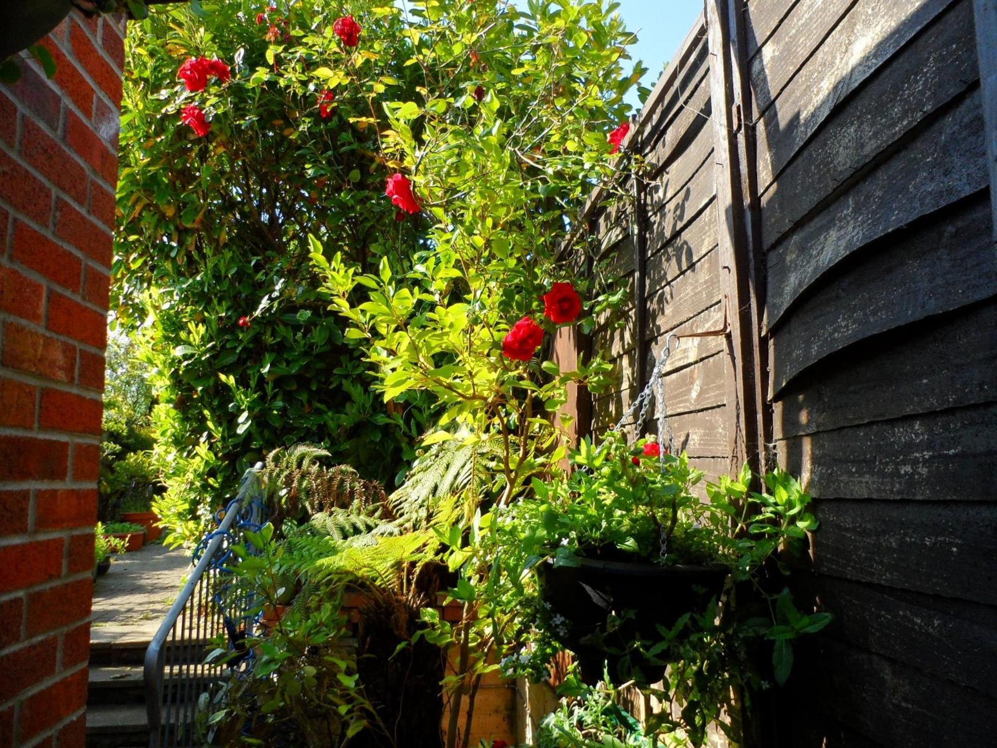 Galway Guest House Уэймут Экстерьер фото